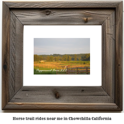 horse trail rides near me in Chowchilla, California